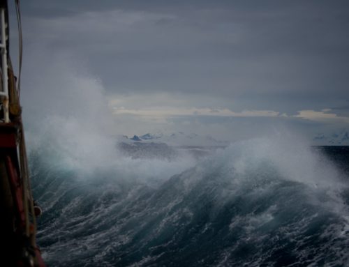 Difference between insolvency and liquidation